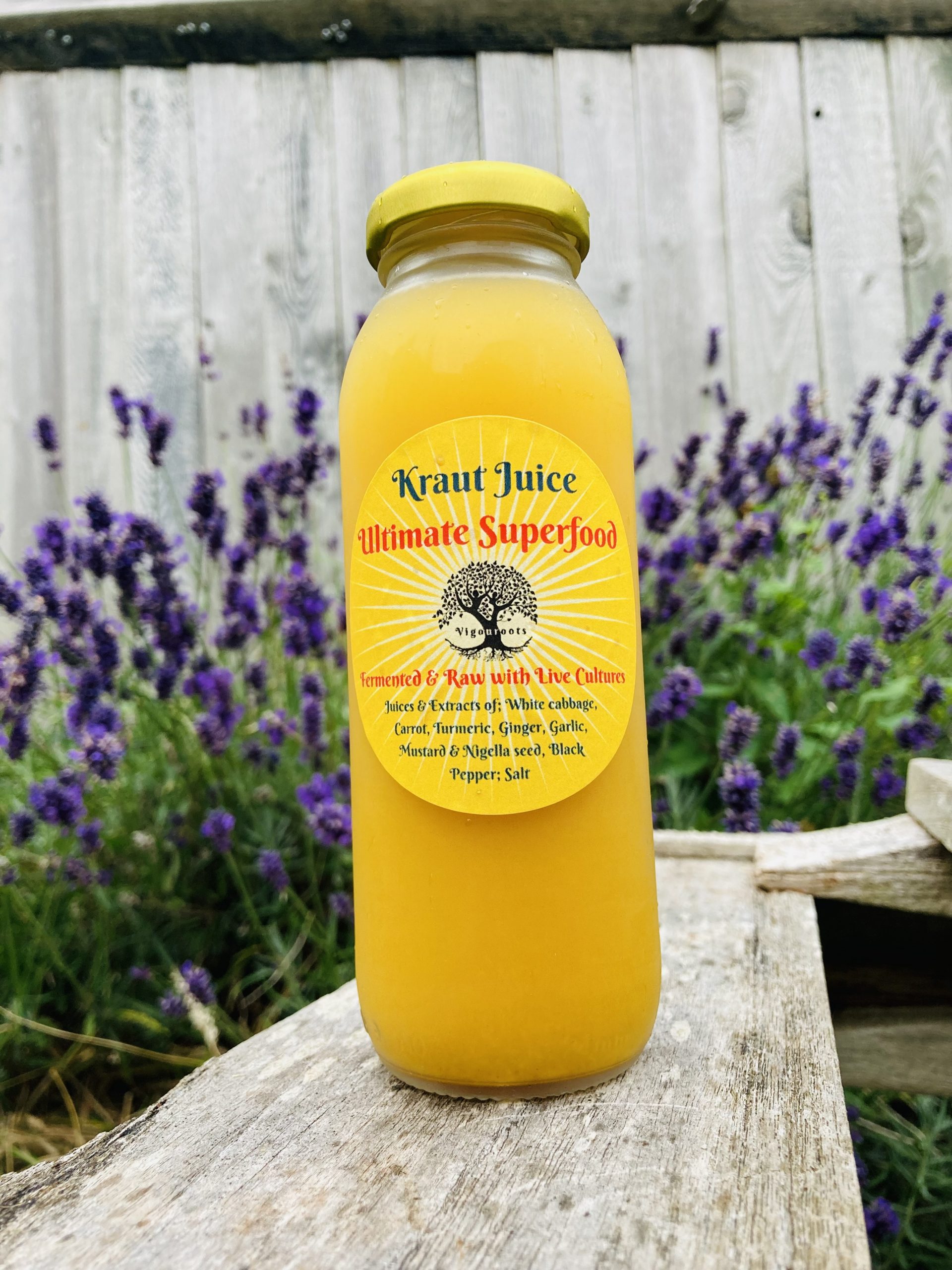 Sauerkraut and Kimchi Juices Vigouroots